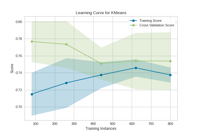 Learning Curve on clustering models